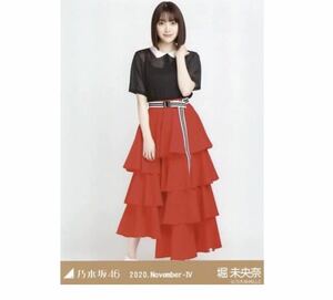 乃木坂46 生写真　1枚　堀未央奈　ニットポロ　乃木坂46 2020.November-IV ヒキ　161