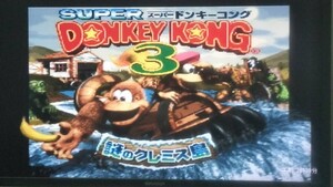 スーパードンキーコング3 謎のクレミス島