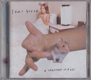 Sonic Youth / A Thousand Leaves (日本盤CD) ソニック・ユース