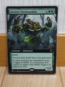 ★☆MTG 【英】古の緑守り/Ancient Greenwarden[緑MR]【ZNR】【拡張アート】★☆ 全ての商品同梱可能