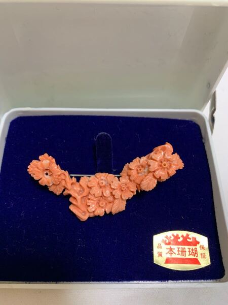 本珊瑚 ブローチ