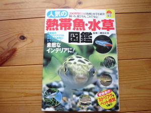 *. popular tropical fish * water plants illustrated reference book . rice field regular . Nitto paper . cover .. have 