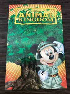 ★未使用 USディズニー アニマルキングダム ハガキ ポストカード フロリダ ウォルト・ディズニー・ワールド WDW★