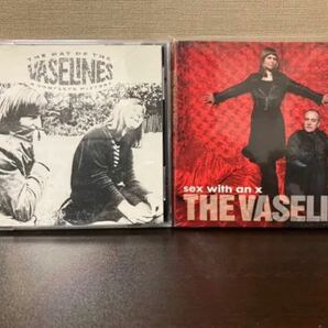 VASELINES ヴァセリンズ CD 2枚 セット まとめ売り まとめて バセリンズ アルバム NIRVANA ニルバーナ