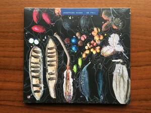  прекрасный товар Josephine Wiggs WE FALL CD with Jon Mattock (Spacemen 3, Spiritualized, Massive Attack) / Ambient