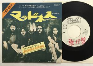 HR/JAMES GANG/ MADNESS, Feat. DOMINIC TROIANO (7&#34;) 国内盤 白ラベル・プロモ (g006)