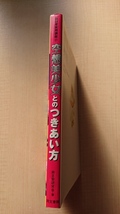 空想美少女とのつきあい方 非日常実用講座１７/藤崎詩織/マルチ/カードキャプターさくら/綾波レイ/ナウシカ/ラム/セイラ・マス_画像2