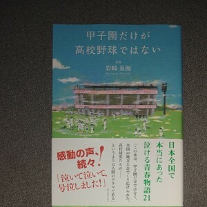 甲子園だけが高校野球ではない