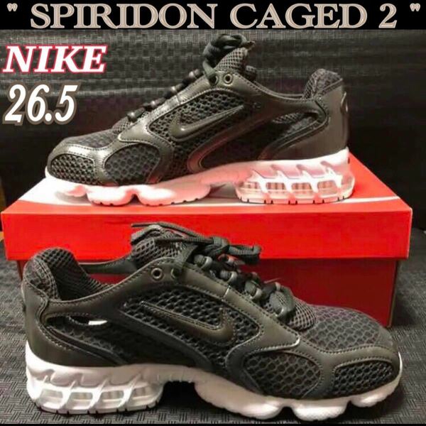 NIKE ナイキ エア ズーム スピリドン ケージ2 SPIRIDON CAGED（グレー/ガンメタ/ブラック/stussy系