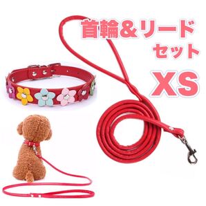 首輪 & リード XSサイズ 可愛い小型犬 犬 dog チワワ 犬首輪