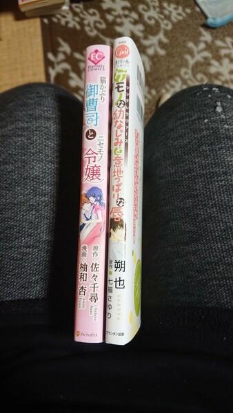 お値下げ！漫画2冊まとめ売り