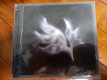 CD ☆ BUMP OF CHICKEN / orbital period / バンプ オブ チキン 星の鳥 ☆ ソフトケース入り_画像1