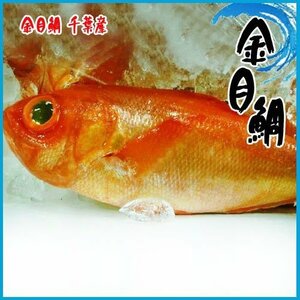 金目鯛 大 1尾 約1.8~2kg 千葉・神奈川県産 贈り物　お歳暮　