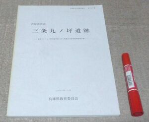 芦屋市所在　三条九ノ坪遺跡 　兵庫県教育委員会埋蔵文化財調査事務所　編　兵庫県教育委員会