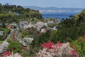 鉄道写真　185系特急踊り子号No.2 西湘の春と185系特急踊り子号