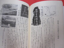 ☆名護碑文記　　　　―　碑文が語る、ふるさとの歴史・文化・人物　―　　　　増補版　　　　【沖縄・琉球・歴史・文化】_画像9