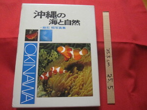 ☆沖縄の海と自然　　　　　館石　昭　写真集　　　　　【沖縄・琉球・歴史・文化】