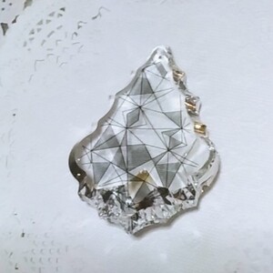 SWAROVSKI スワロフスキー #8901 76×52mm