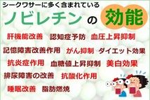 送料無料 大宜味産 6本セット 青切りシークヮーサー 500ml 原液 シークワーサー ストレートジュース 大宜味村 果汁100％ ノビレチン _画像6