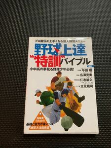 野球上達特訓バイブル／旅行レジャースポーツ (その他)