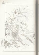 9787807462521　伝統花鳥魚虫図譜　中国花鳥画文様　下地　創作資料　大人の塗り絵　中国語書籍_画像4