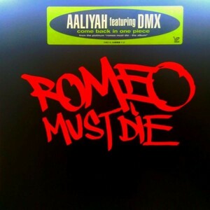 12inchレコード　 AALIYAH / COME BACK IN ONE PIECE feat. DMX