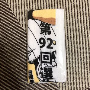 センバツ甲子園 タオル