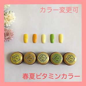 【カラー変更可】春夏ビタミンカラー カラージェル ジェルネイル
