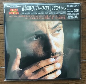  paper 356 / paper jacket / BLUCE SPRINGSTEEN / youth. ../ blues * springs s tea n/ beautiful goods 