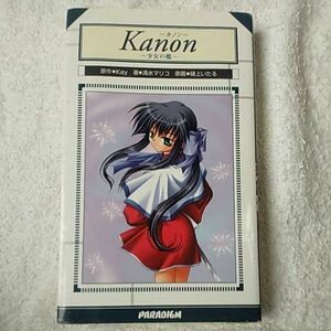 Ｋａｎｏｎ～少女の檻～ （Ｐａｒａｄｉｇｍ　ｎｏｖｅｌｓ　８４） Ｋｅｙ／原作　清水マリコ／著