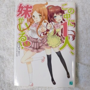 この中に1人、妹がいる！ 5.5 (MF文庫J) 田口 一 CUTEG 9784840143417