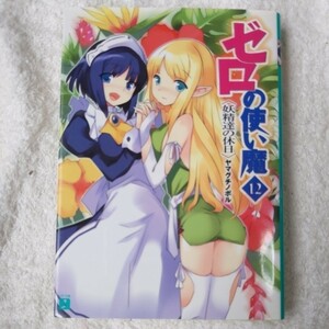 ゼロの使い魔 (12) 妖精達の休日 (MF文庫J) ヤマグチ ノボル 兎塚 エイジ 9784840119009