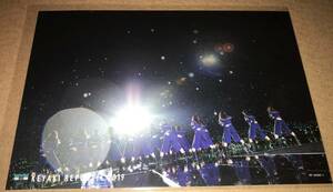 欅坂46 ポストカード Blu-ray 「欅共和国2019」 封入特典 C-1 櫻坂