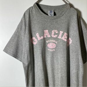 US古着 GLACIER プリントTシャツ Lサイズ グレー DELTA