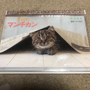 子猫のマンチカン 2021年 カレンダー 壁掛け トライエックス　猫　ねこ　ネコ