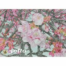 色鉛筆画「 桜、咲く」Ａ４・額付き◇◆手描き◇原画◆花◇◆yotto◇_画像1