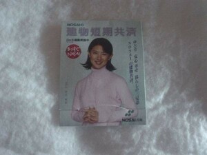 [その他][送100円～] 中江有里 NOSAI 農業共済 販促品