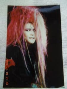 HIDE 写真 ブロマイド ⑬ / X JAPAN