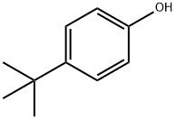 4-tert-ブチルフェノール 99% 250g (CH3)3CC6H4OH C10H14O 有機化合物標本 試薬