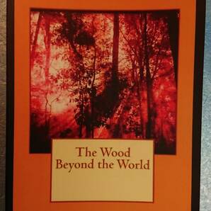 英語ファンタジー「The Wood Beyond the World世界のかなたの森」ウィリアム・モリス著