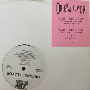 Original Flavor Can I Get Open　レコード　バイナル　HIPHOP RAP