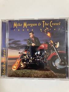 【ブルース】マイク・モーガン（Mike Morgan）& The Crawl 「Looky Here ！」（レア)中古CD、USオリジナル初盤、BL-534