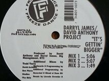 USMUS ★ 中古 LPレコード Darryl James / David Anthony Project : Buddah / It's Getting Bigger 12インチ 美品 ハウス Todd Terry_画像3