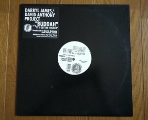 USMUS ★ 中古 LPレコード Darryl James / David Anthony Project : Buddah / It's Getting Bigger 12インチ 美品 ハウス Todd Terry