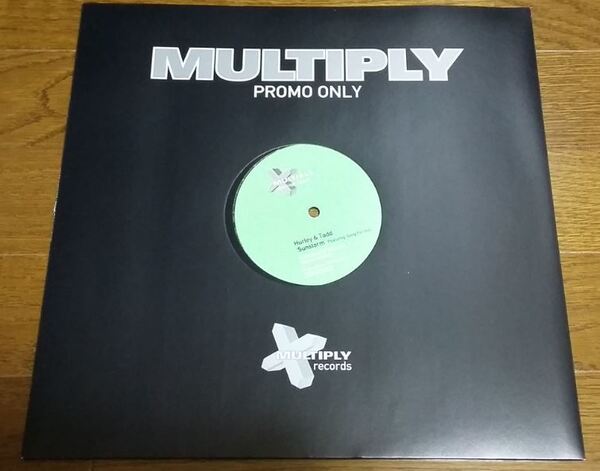USMUS ★ 中古 LPレコード Hurley & Todd : Sunstorm 12インチ 美品 ハウス