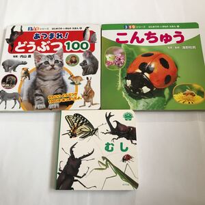 虫、昆虫、動物の本3冊