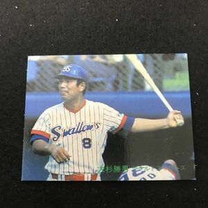 1982年　カルビー　プロ野球カード　82年　409番　ヤクルト　大杉　　　【管理NO:3-37】
