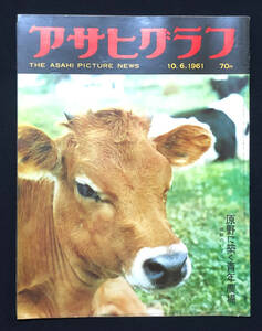 ●昭和グラフ誌●『アサヒグラフ』1冊 1961年10月6日号 高度経済成長 投の権藤打の長島 横綱への道 文化住宅のハズだったが 広告多数●古書