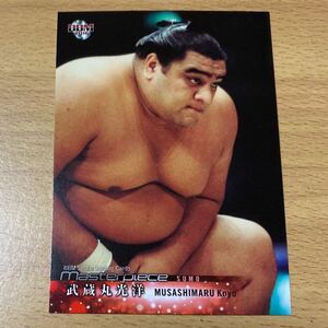 即決●BBM2016 Masterpiece #082 武蔵丸 光洋　　レギュラーカード　マスターピース　大相撲　武蔵川部屋