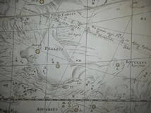アンティーク、天文、天体、星座早見盤、手彩色銅版画、星図、1742年『ドッペルマイヤー星図　Ⅱ』Star map, Planisphere, Celestial atlas_画像8